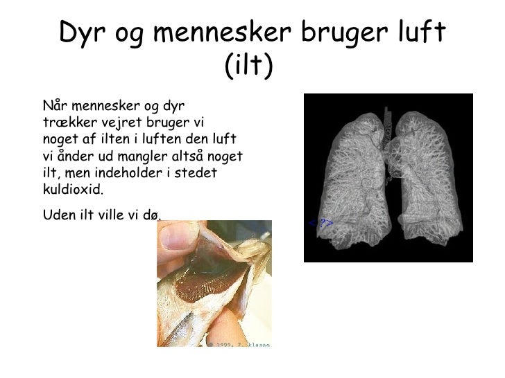 ilt i luften ilt i luften